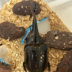 お取引先決まっております。の画像