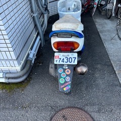 AF34ライブDioの画像