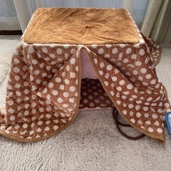 猫ちゃんコタツ