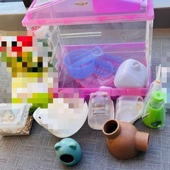 ハムスター 飼育セット の画像