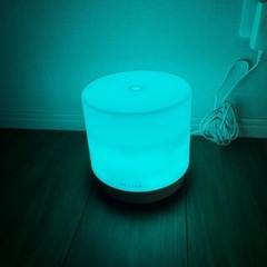 加湿器　eclecticの画像