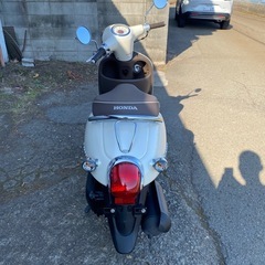 1017km ホンダジョルノHonda Giorno 50CCの画像