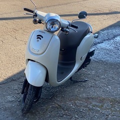 1017km ホンダジョルノHonda Giorno 50CCの画像