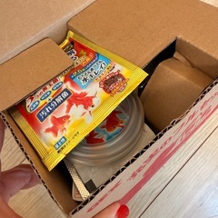 新品未使用　GEX 水中フィルター・エアーポンプセットの画像