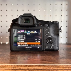 SONY RX10IVの画像