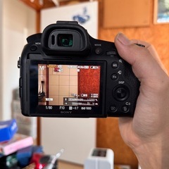 SONY RX10IVの画像