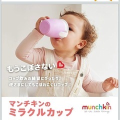 溢れないコップの画像