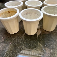 プラスチック鉢の画像
