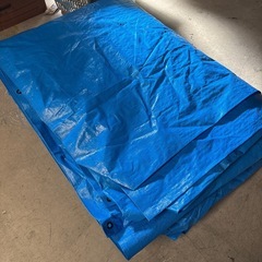 大きいブルーシートの画像