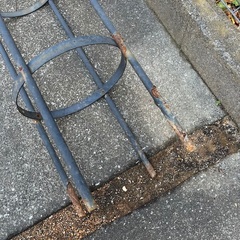 ローズポールの画像