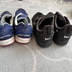 ダイヤルドライブ22.5cm  23cmの画像