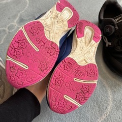 ダイヤルドライブ22.5cm  23cmの画像