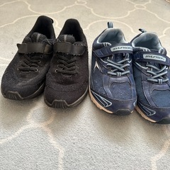 22.5cm 瞬足　ダイヤルドライブの画像