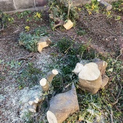 丸太 薪などにの画像