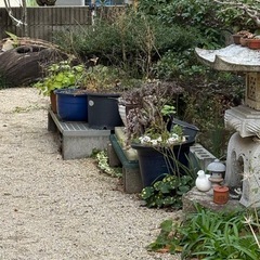 植木鉢の画像