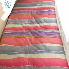 ☺️敷布団　S 102✖️199✖️h3cm   赤紫他横縞  LINEAの画像