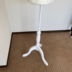 トルソー（マネキン）の画像