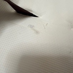 ネムリラ（手動）の画像