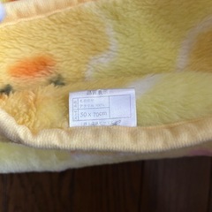 スリーパーベストの画像