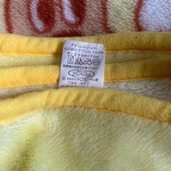 スリーパーベストの画像