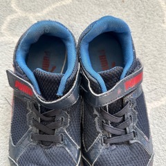 プーマ　19cmの画像