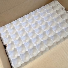 ［決まりました］　卵のトレーの画像