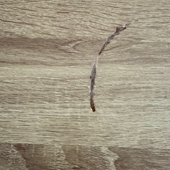 中古ダイニングテーブル　椅子4脚の画像