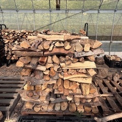 【残り2立米のみ】乾燥薪　一立米　広葉樹の画像