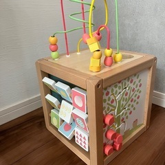 フルーツ　アクティビティボックスの画像