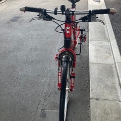 キャノンデール(3✖️7)の画像