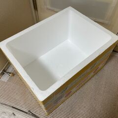 【無料】肉厚・大型発泡スチロール箱10個セット（60×45×39cm）保冷剤付き！ メダカ・キャンプ・引越し・野菜保存に！の画像