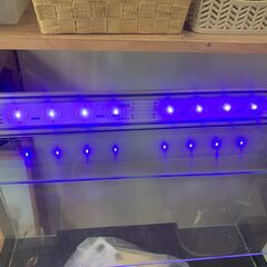 【リサイクルストアスターズ鹿大店】GEX　60cm水槽　LED証明付きの画像