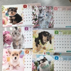 2026年　卓上カレンダー　3つ　犬猫他の画像