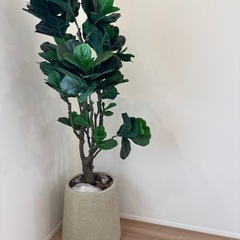 フェイクグリーン　観葉植物②の画像