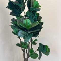 フェイクグリーン　観葉植物②の画像