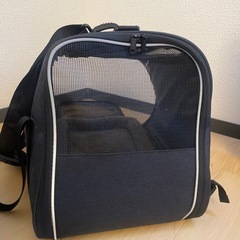 猫 キャリーバッグの画像