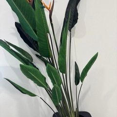 フェイクグリーン　観葉植物の画像