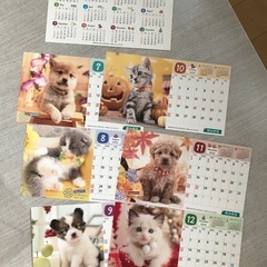 2026年　卓上カレンダー　3つ　犬猫他の画像