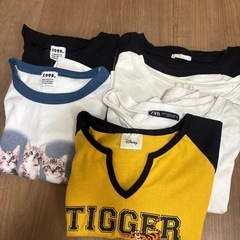 半袖 ショート丈 Tシャツ S M