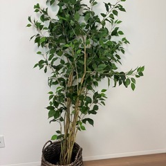 フェイクグリーン　観葉植物