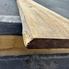 杉　耳付き　一枚板の画像