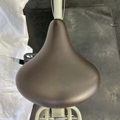 NO.9 軽快車 SAIMOTO anemone サイモト アネモネ 24インチの画像