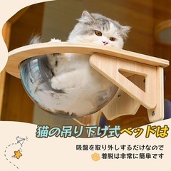 【新品・未使用】猫用 宇宙船型ハンモック／吸盤タイプ（透明）の画像