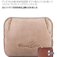 新品未使用　湯たんぽ ゆたんぽ 充電式の画像