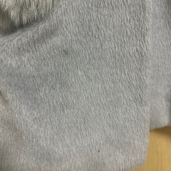 グレー　ファーコートの画像