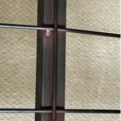 ロフトベッドの画像