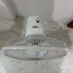 リビング扇風機の画像