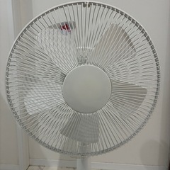 リビング扇風機の画像