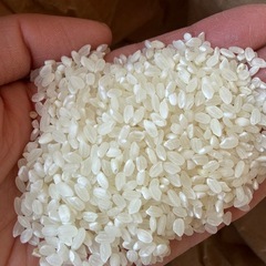 【条件付き配達可能】精米済27kg  茨城産チヨニシキ 50袋限定  の画像