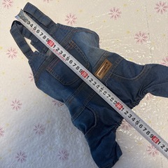 小型犬用 オーバーオールの画像